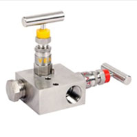 Manifold Valves